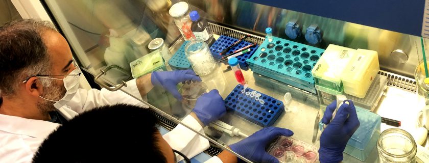 Bilkent’ten bilim insanları KOVİD-19’a karşı yeni nesil ilaç için çalışıyor